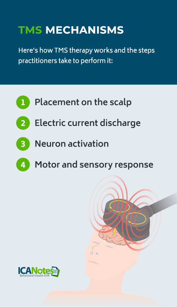 02-TMS-Mechanisms-Pinterest